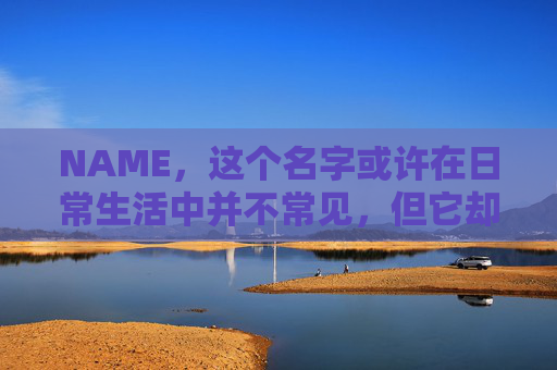 NAME,这个名字或许在日常生活中并不常见,但它却在某些领域里扮演着重要的角色。今天,让我们一起来探索这个名字背后的故事和意义
